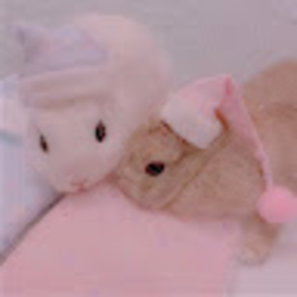 cutiecatstar
